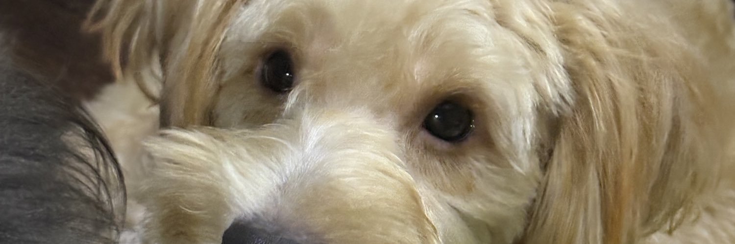 aviemdeleon's profile banner image