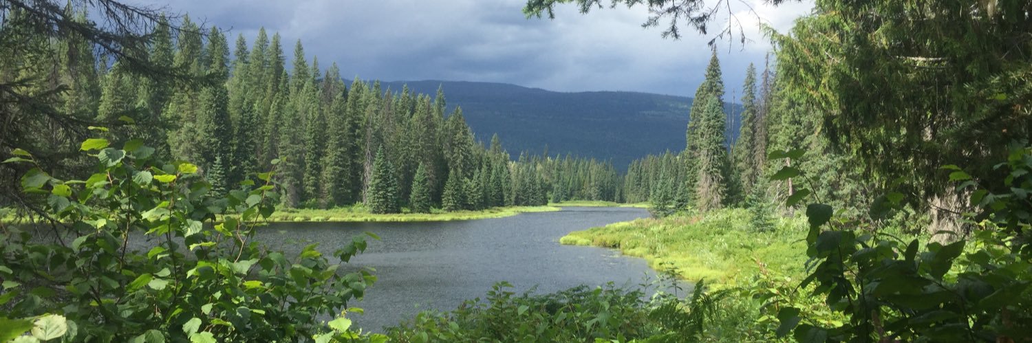 Christiaan van der Hoeven banner