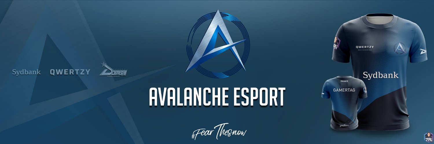 Avalanche banner