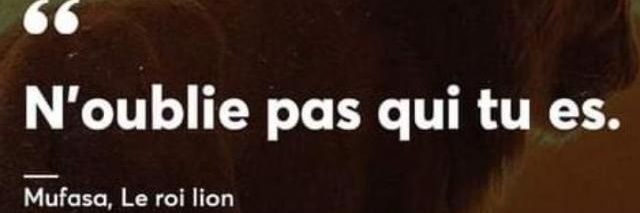 Bénédict SEFU banner