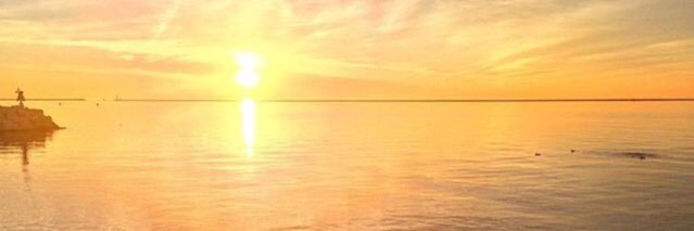 ivanrojasrojas's profile banner image