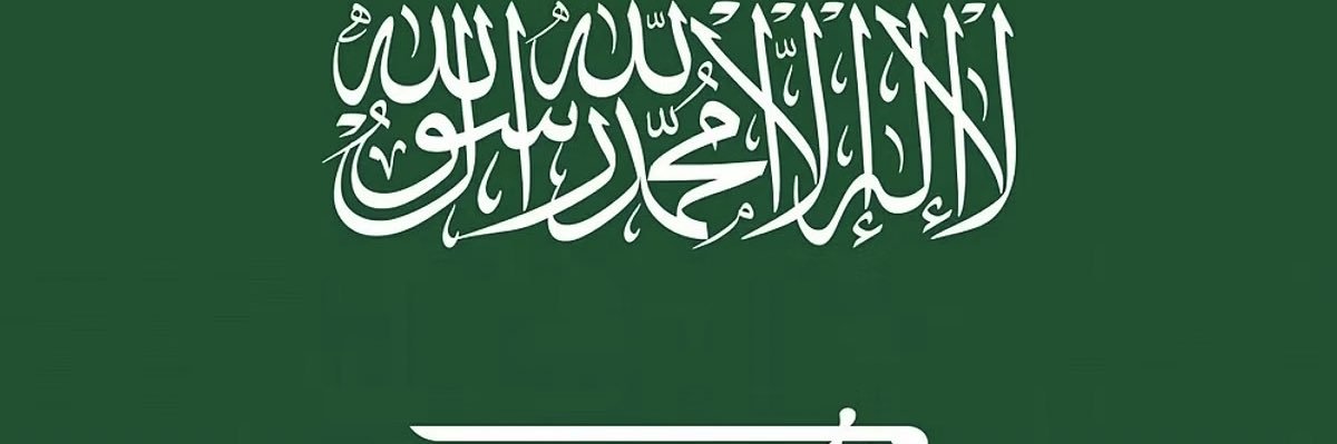 vinex banner