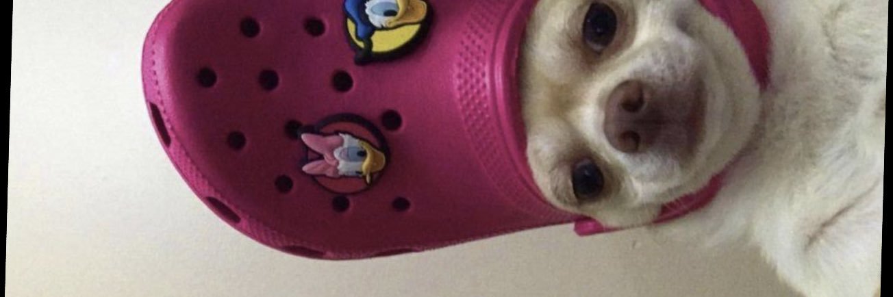 sofiarrrrr's profile banner image