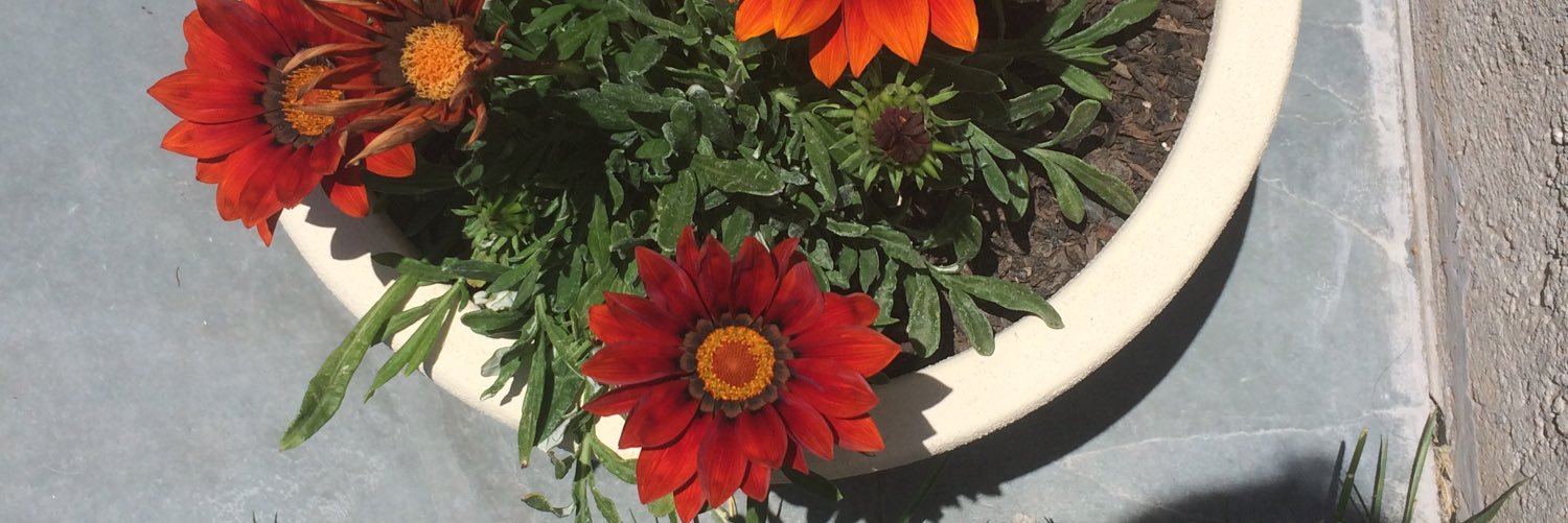 Manissa_G's profile banner image