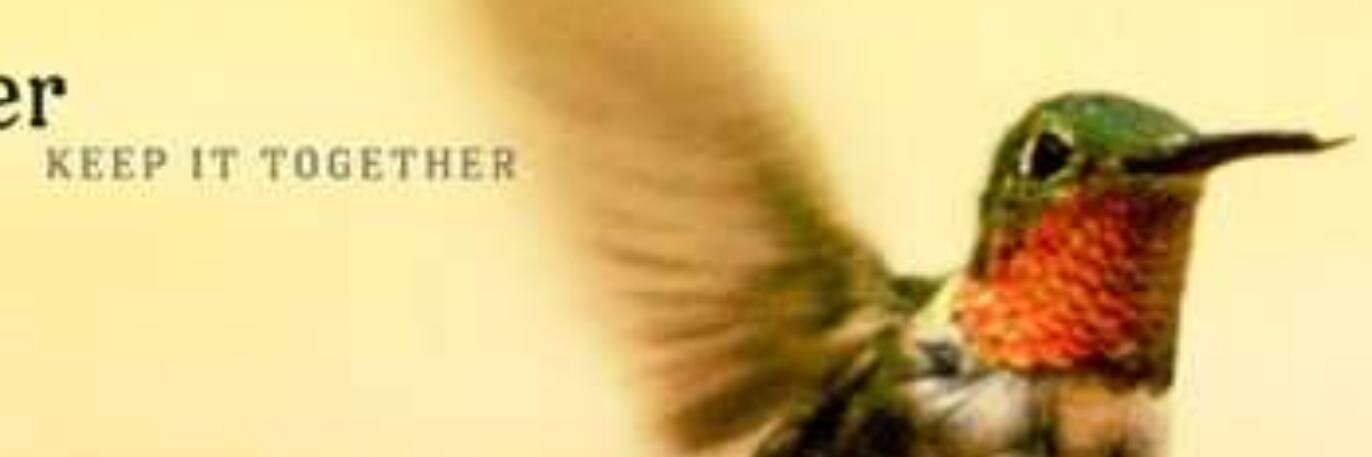 BeckyAus's profile banner image