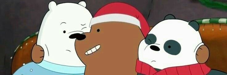 riz banner