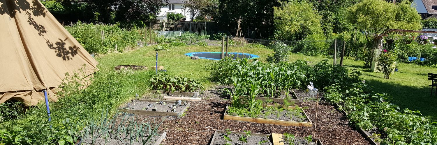 henry wilding banner