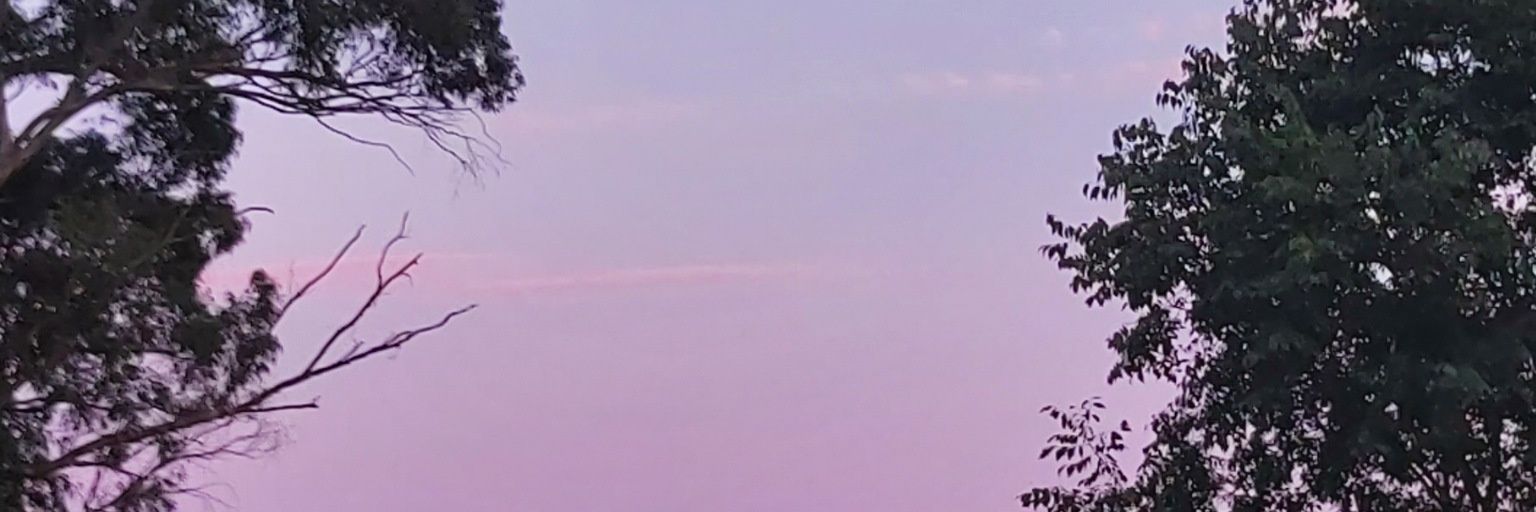 Albiñaaa banner