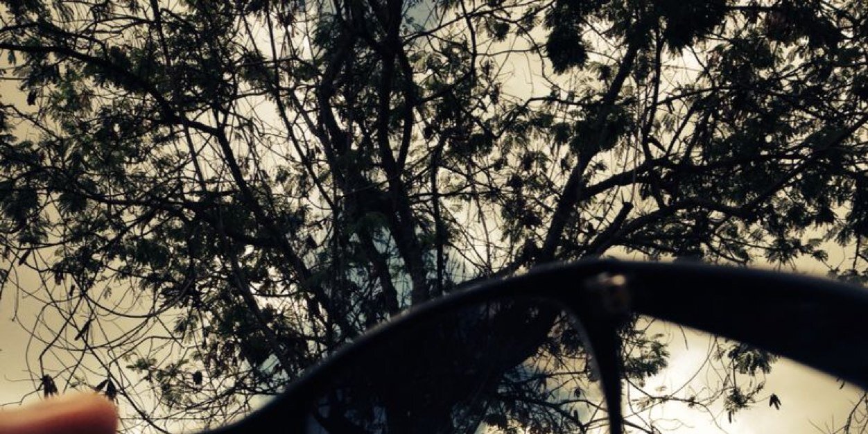 Ed Salles banner
