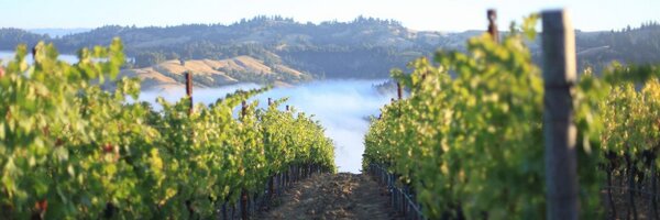 JamieKutch Profile Banner