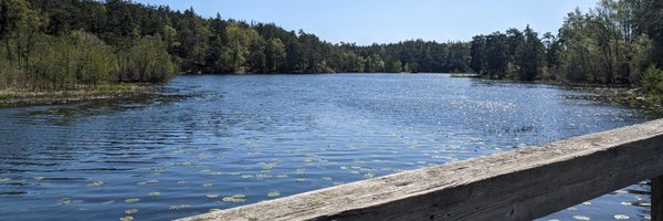 SwedeninJO Profile Banner