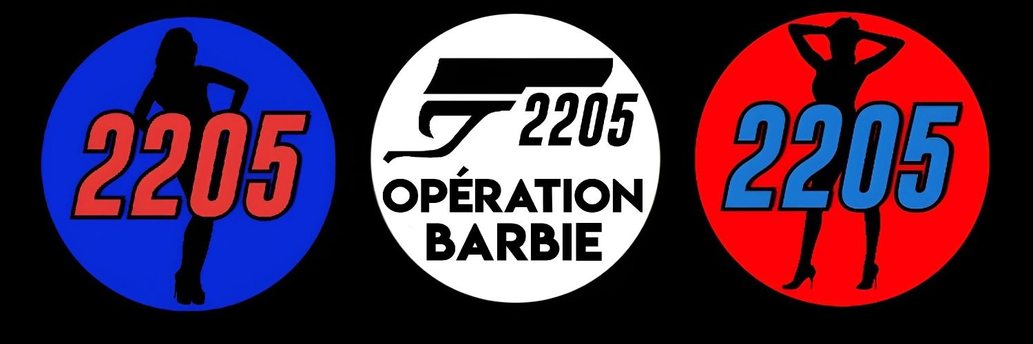 N_2205's profile banner image