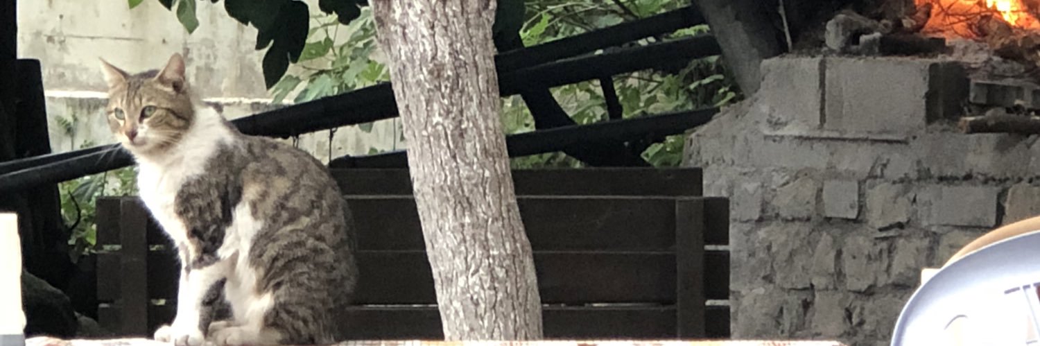 siroonc's profile banner image