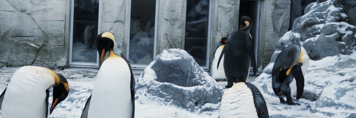 梨喵 Lynee ｜🐬TermMax banner