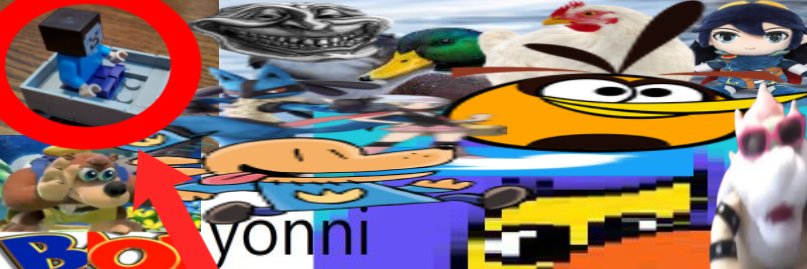 Yonni banner