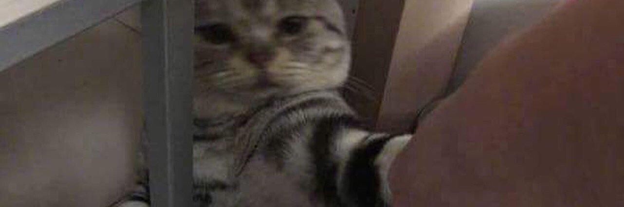 Mʏ ʙᴏᴏ ɪs ᴍᴏɴᴇʏ✨💸 banner