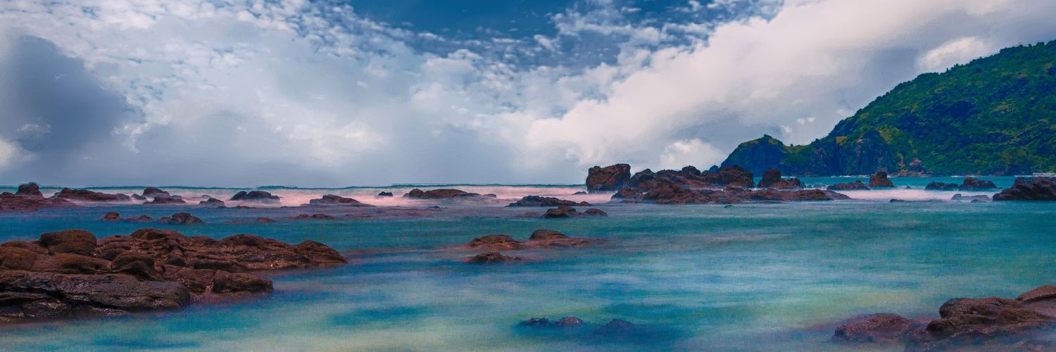 Bluebee_3's profile banner image