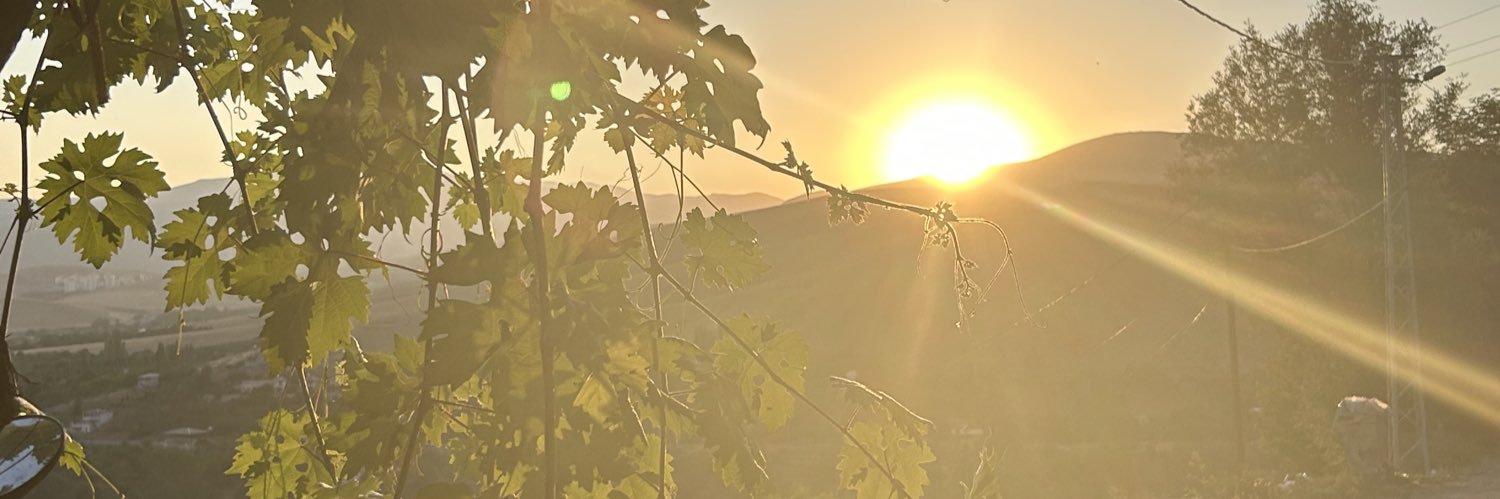 seymanurkoroglu's profile banner image