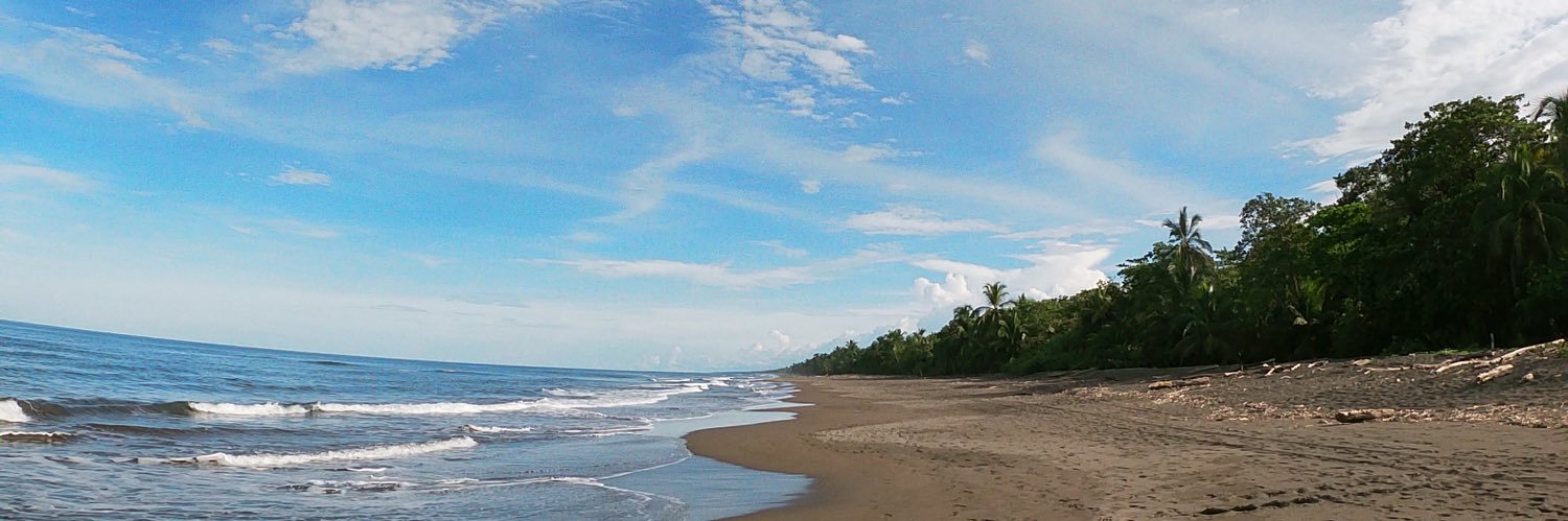 Marybeth Hall Lohoff banner