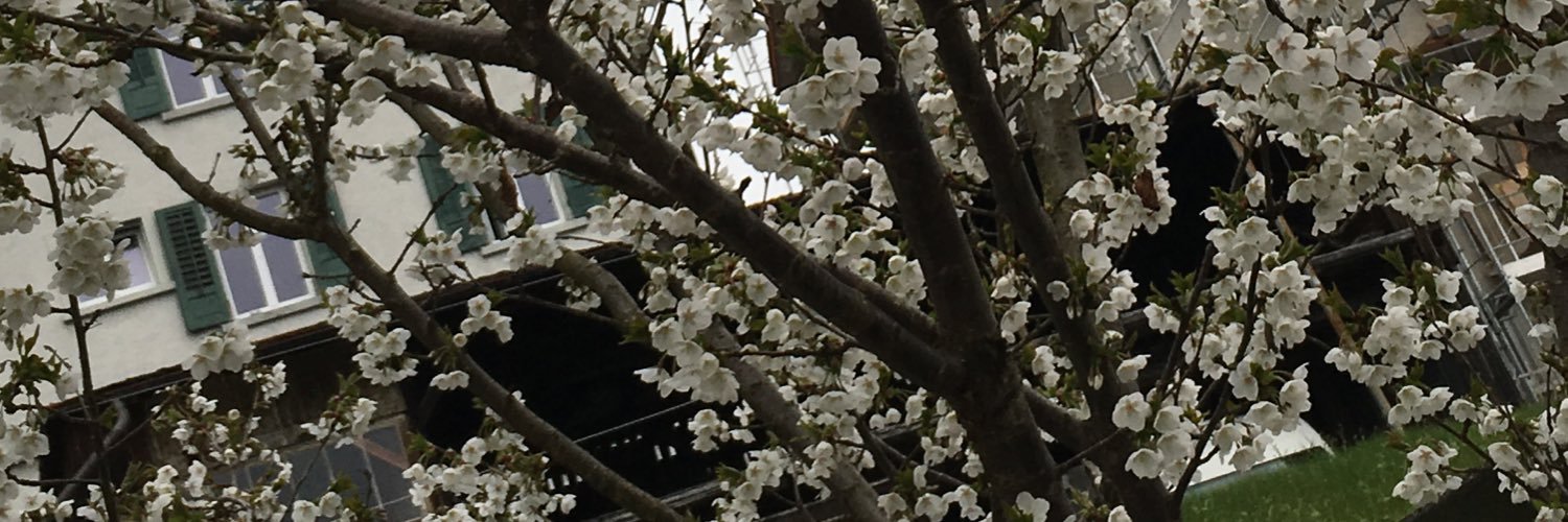 Spakouskas's profile banner image