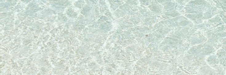 S✨ banner