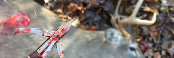 Mark__Cox_ Profile Banner