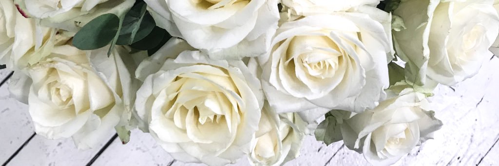 Estelle Test For You banner