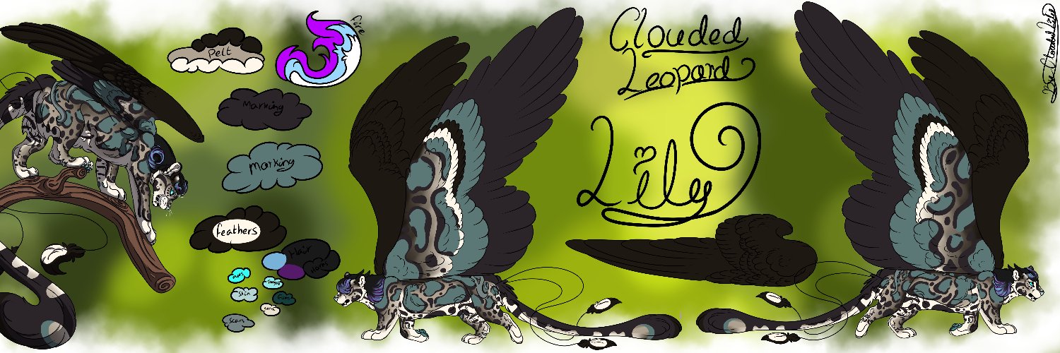 clouded lily's banner
