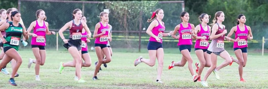 Provet Cross Country/Track & Field banner