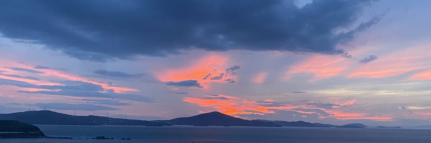 leyla6's profile banner image