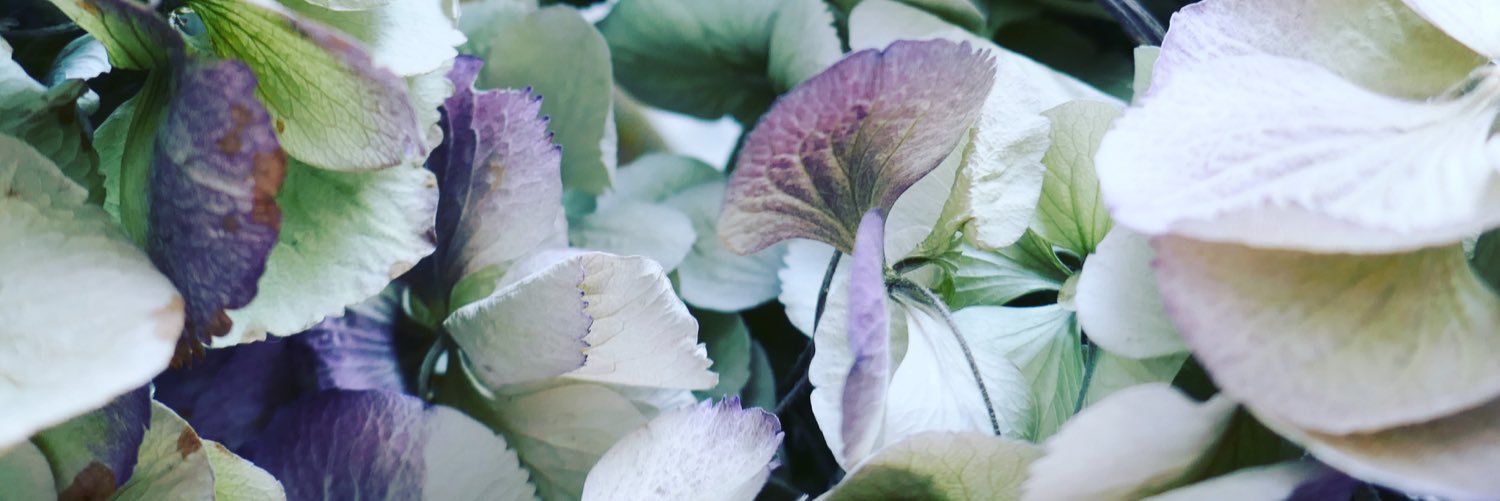 ed4AD's profile banner image