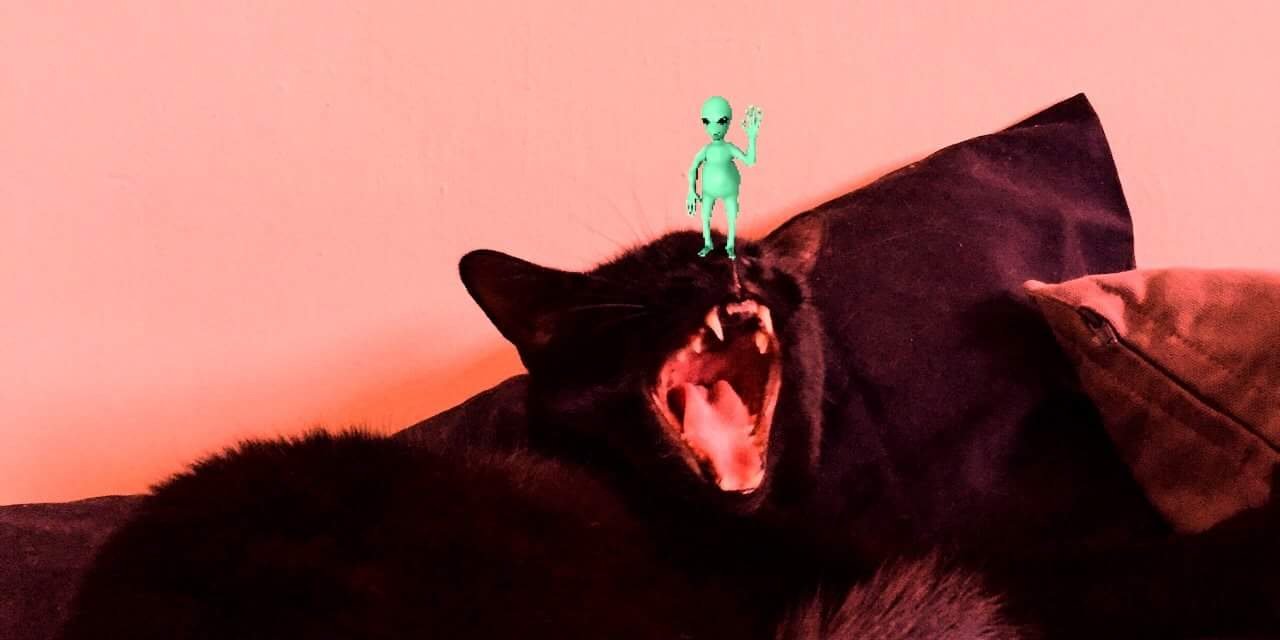 tadeonm04's profile banner image