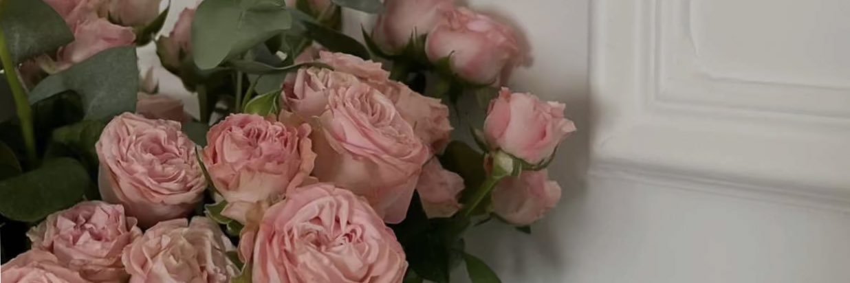 ..✨ banner