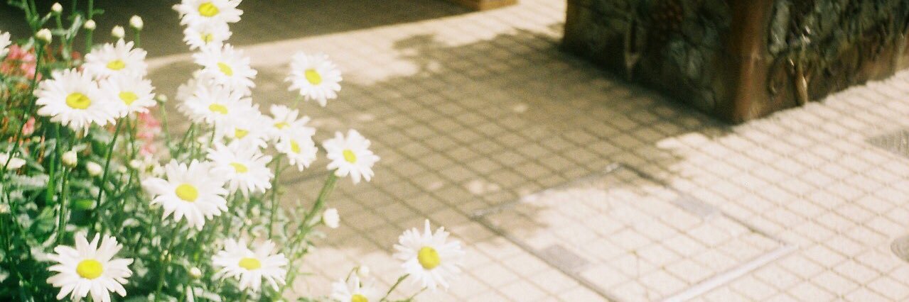 23luv_m's profile banner image