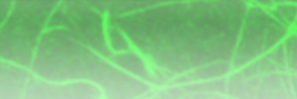 SquishyPhysics Profile Banner