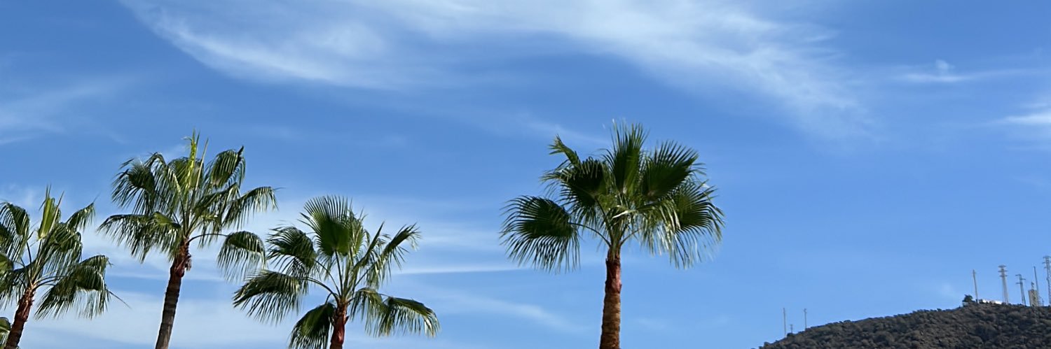 odinsuarezz's profile banner image