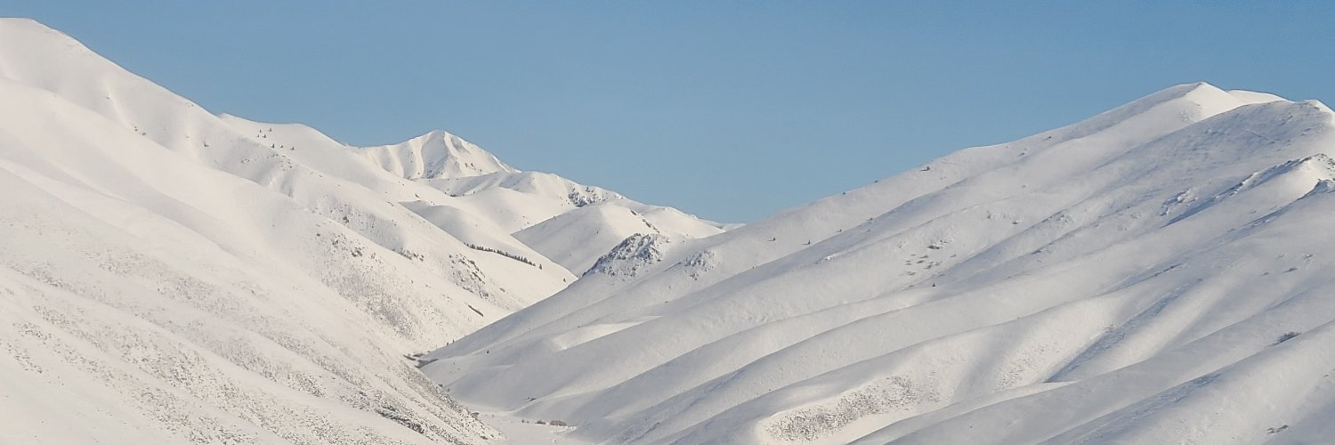 Amir Iravani's banner