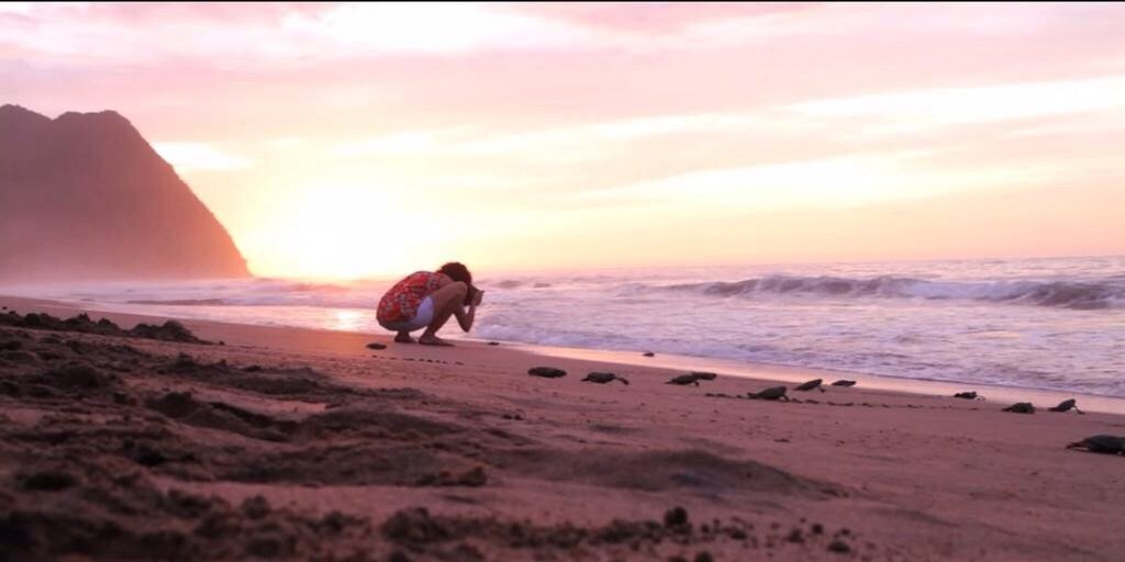 FlorJCG's profile banner image