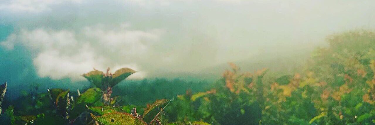 kzk1231's profile banner image