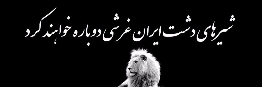 نادر کاکاوند banner