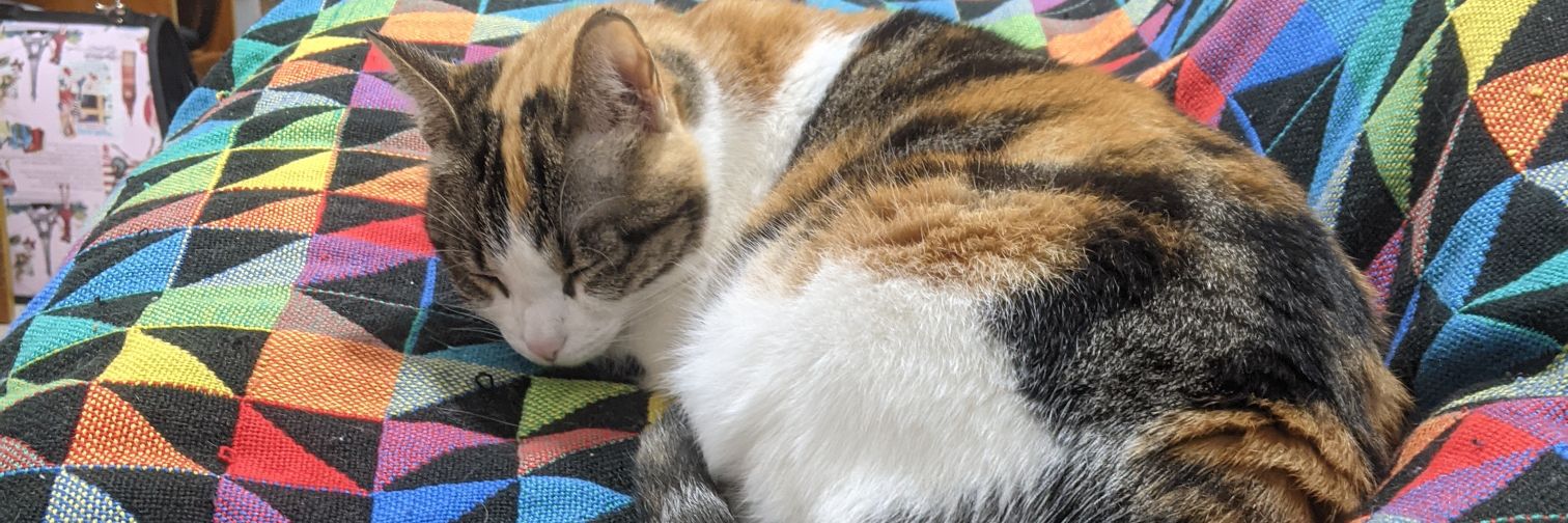 Camilo Montaño 🐼🌎 banner