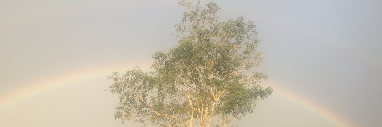 miguelangelmad's profile banner image