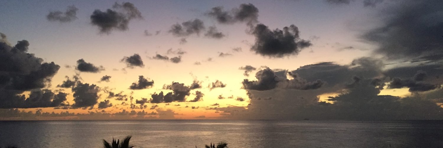 RickyaNYthing's profile banner image