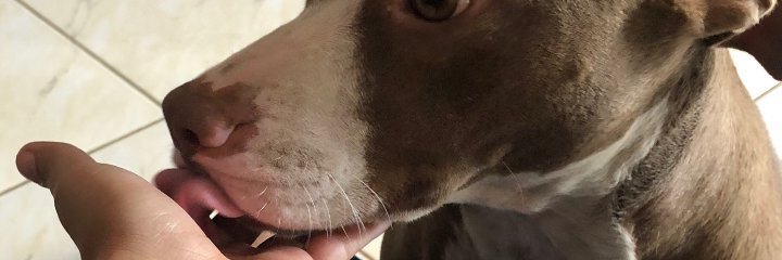 DudaFox10's profile banner image