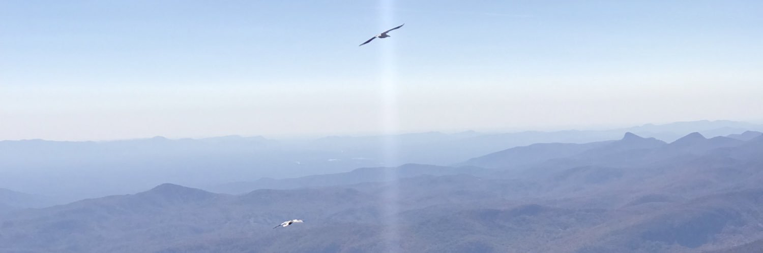 AdamOltmans's profile banner image