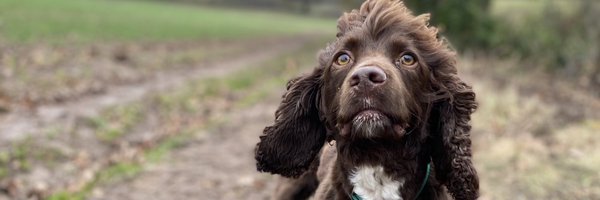 MSCharitiesUK Profile Banner