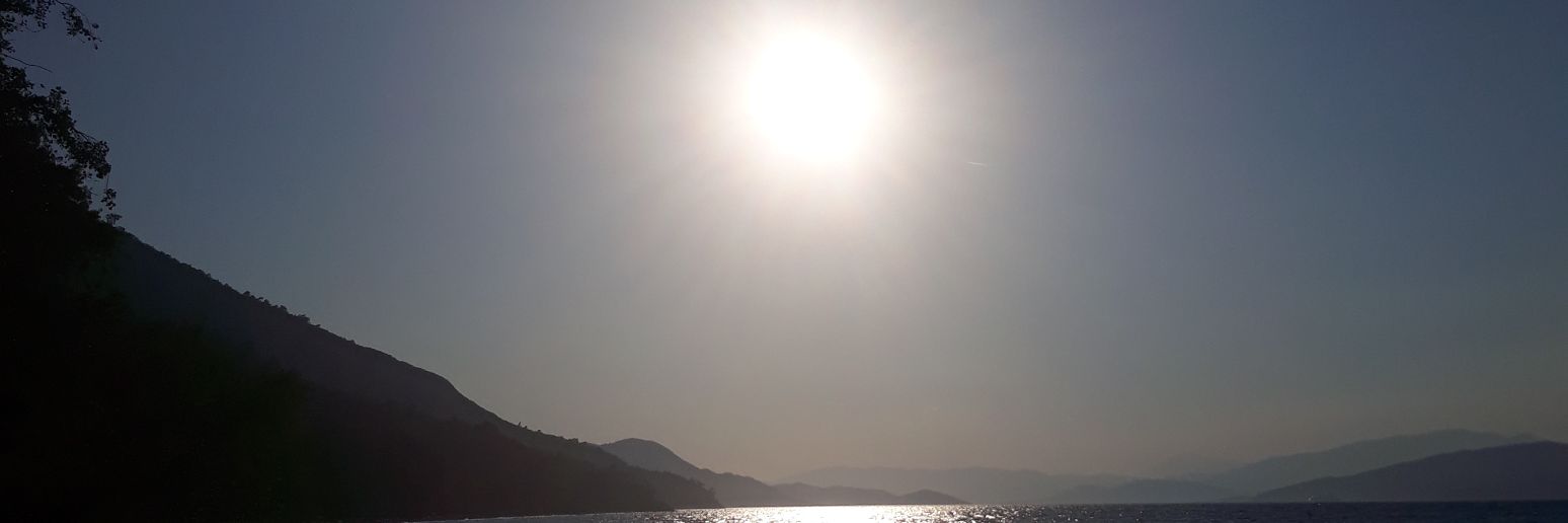 sevginli's profile banner image