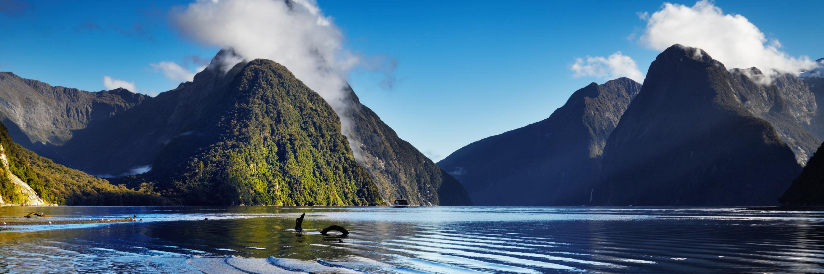 Collette (UK) banner