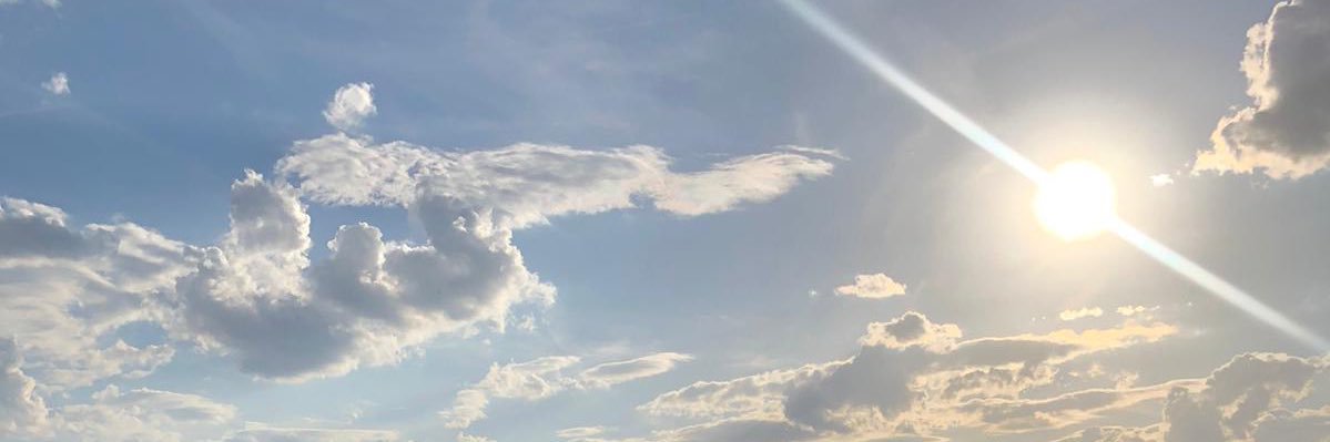 gabs banner