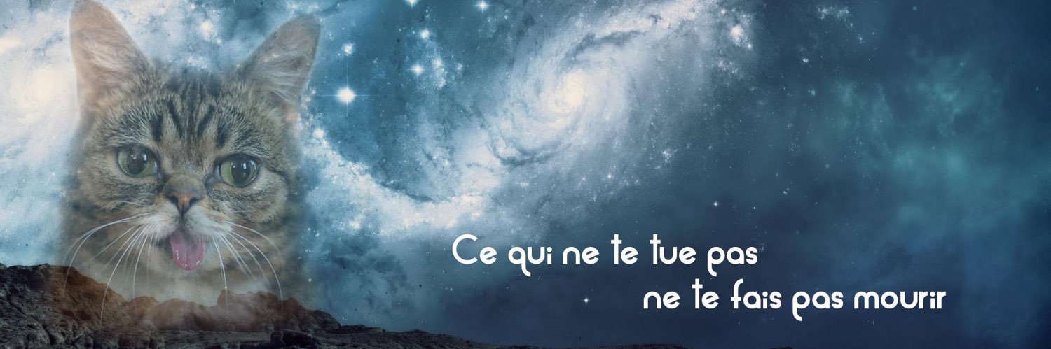 • La dame du Manège 🎠• banner